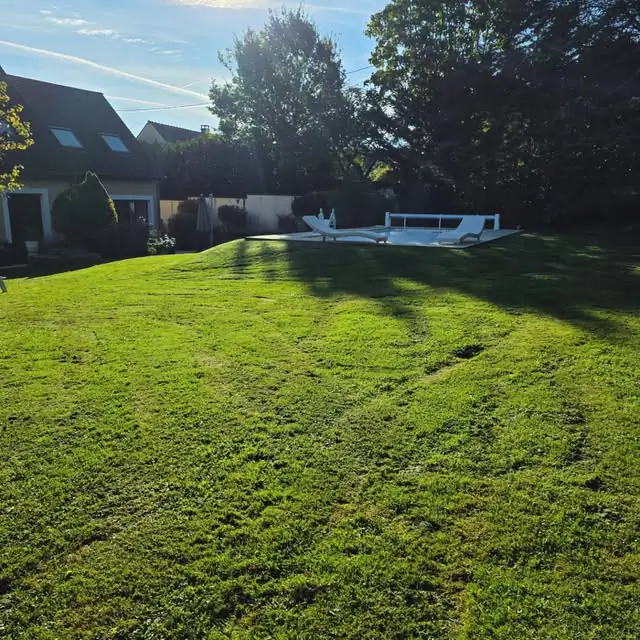 Grand jardin verdoyant avec piscine après entretien