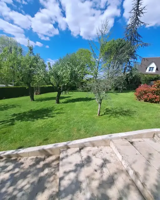 Grand jardin arboré entretenu par Côté Paysage