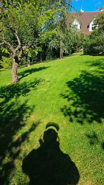 Pelouse entretenue dans un grand jardin arboré