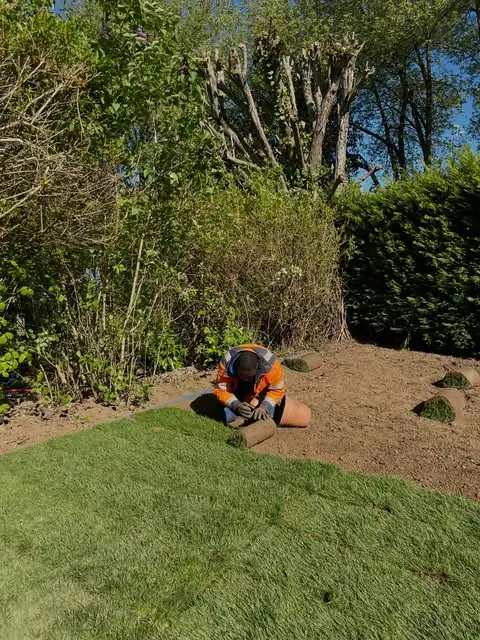 Pose d’un gazon en rouleaux dans un jardin